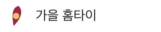 가을 홈타이